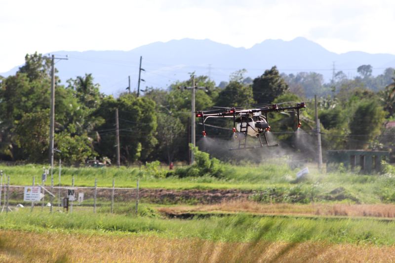 Agricultural drone releasing spray over a rice plot at an IRRI demonstration in the Philippines